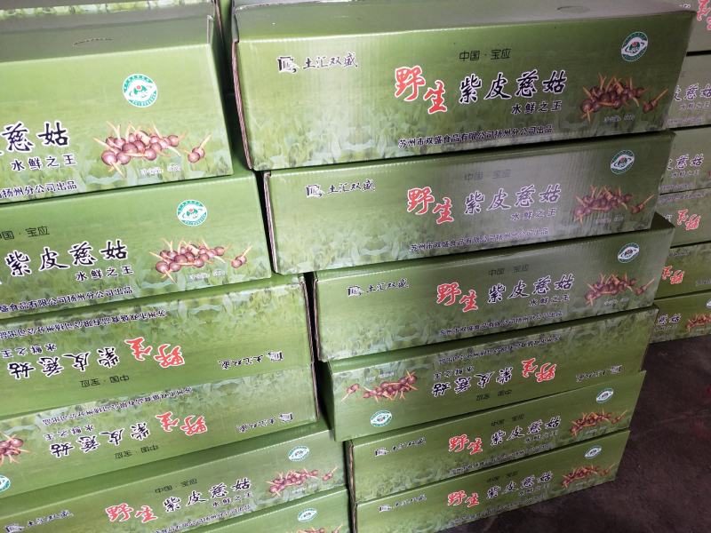 苏州双盛食品：野生紫皮慈菇