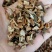 野生透骨草中药材凤仙透骨草无硫精选新