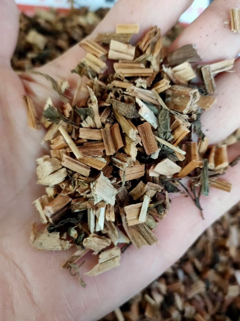 野生透骨草中药材凤仙透骨草无硫精选新