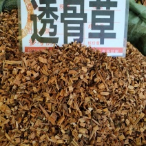 野生透骨草中药材凤仙透骨草无硫精选新