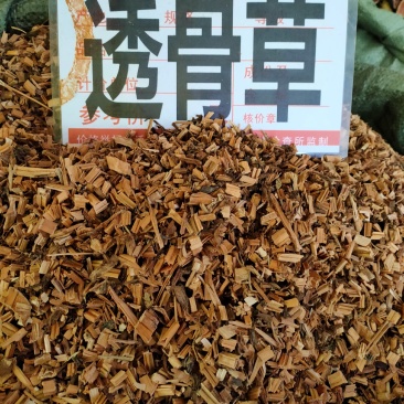 野生透骨草中药材凤仙透骨草无硫精选新
