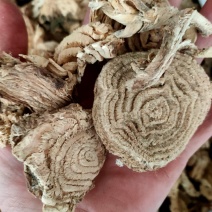 中药材商陆，土人参野生见肿消章柳根牛大黄，山萝卜