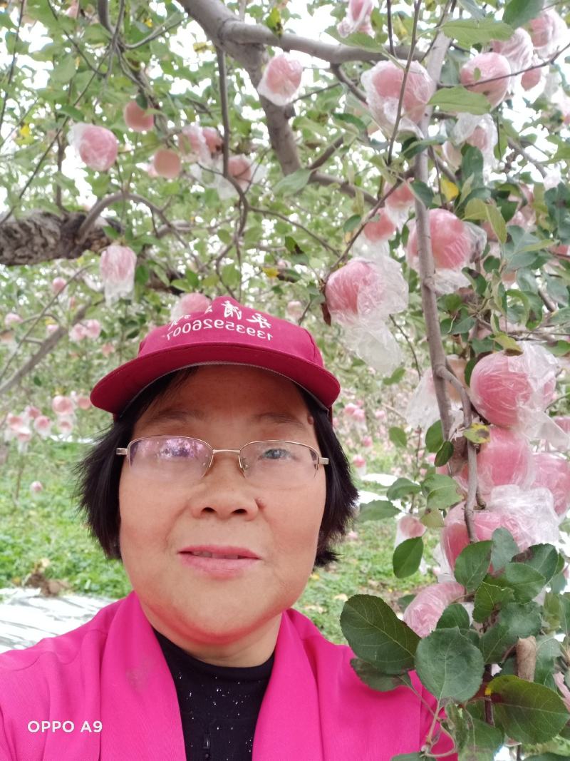 【包邮】山西运城冰糖心红富士苹果新鲜脆甜10斤大果产地直发