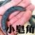 野生猪牙皂角小皂角牙皂猪牙皂乌犀中药材皂角