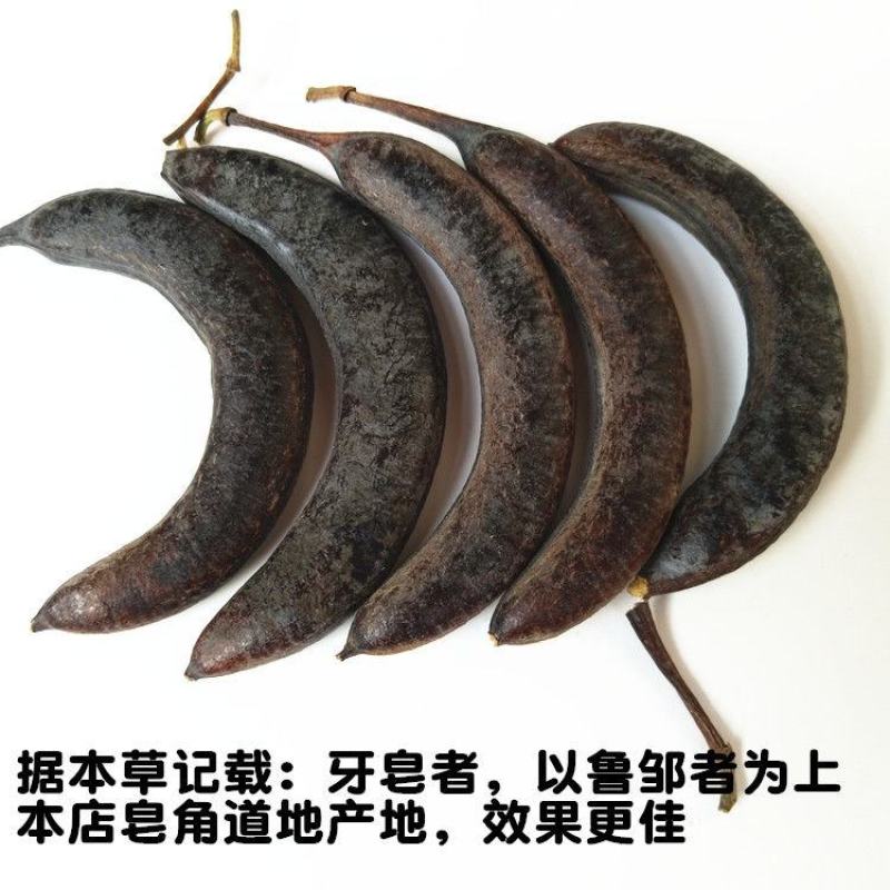 野生猪牙皂角小皂角牙皂猪牙皂乌犀中药材皂角