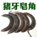 野生猪牙皂角小皂角牙皂猪牙皂乌犀中药材皂角