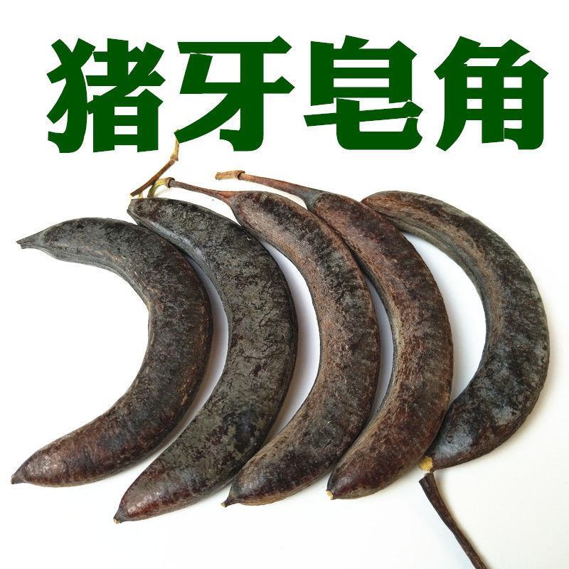 野生猪牙皂角小皂角牙皂猪牙皂乌犀中药材皂角