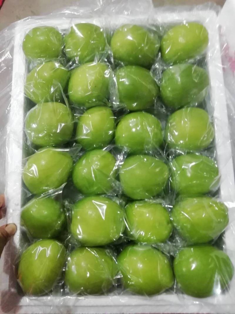 优质云南青枣，独特的金沙江干热河谷气候环境。一件代发。