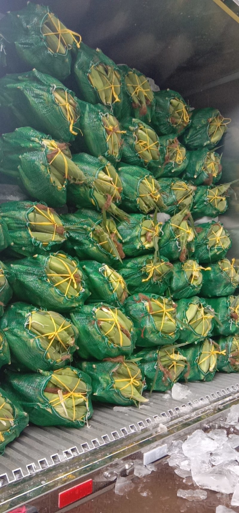 玉米水果玉米，花糯，小花，大花，新甜六号