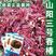 山阳三号香椿种子四季速生高产量香椿籽香椿树苗种子包邮