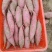 西瓜红河北饶阳县王岗万亩红暑基地纯沙地货，提供各种包装箱