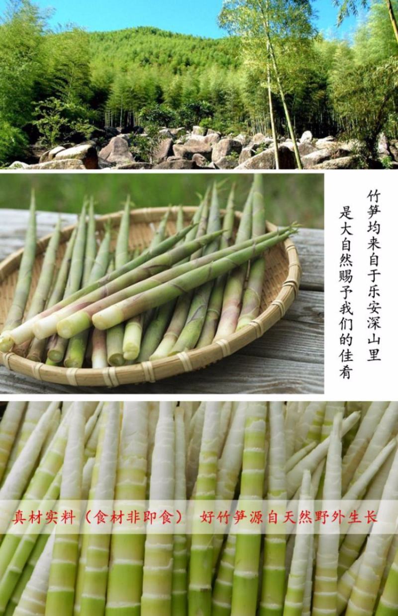 整箱20斤新鲜竹笋日期新鲜嫩笋尖小竹笋脆