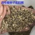 花环菊种子四季室内庭院阳台盆栽植物花草观赏花卉种