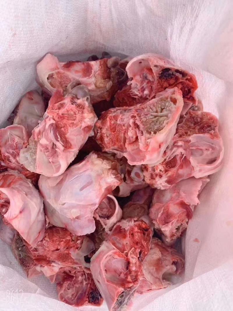 鲜羊脑壳一个半斤左右一包一百个麻辣羊脑壳