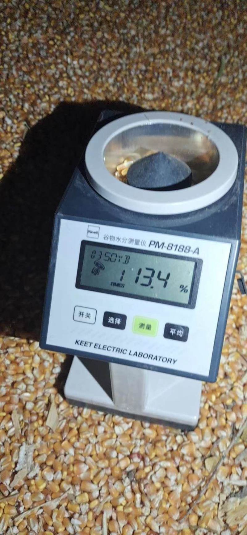 玉米粒欢迎采购！我们有着多年的采购服务经验，期待您的合作