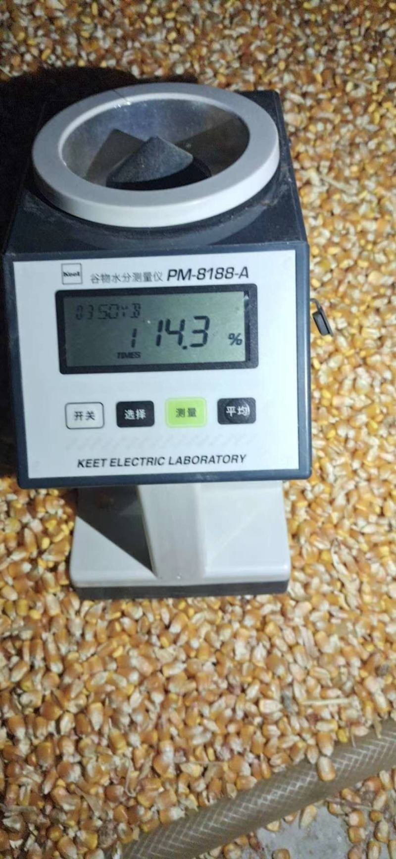 玉米粒欢迎采购！我们有着多年的采购服务经验，期待您的合作