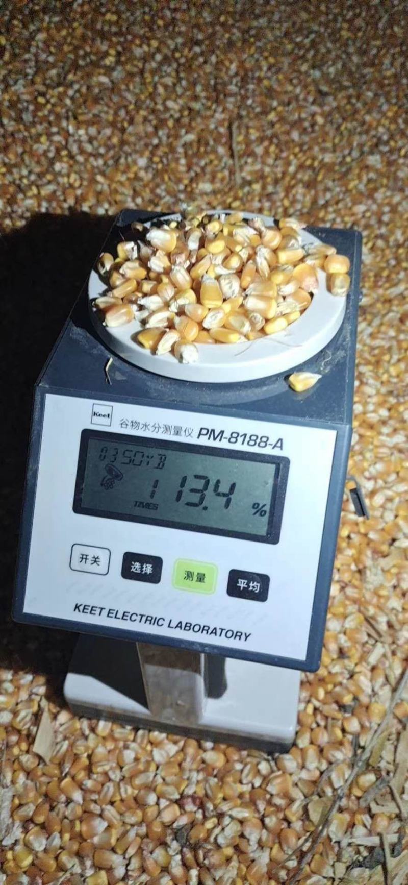 玉米粒欢迎采购！我们有着多年的采购服务经验，期待您的合作