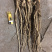 沙参地摊鲜人参江湖地摊展会暴利产品【摆摊赶集展会】