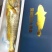 宁德大黄鱼，我们只做深海大黄鱼
