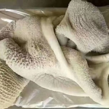 牛肚每天都有新货天天都做欢迎各位老板选购