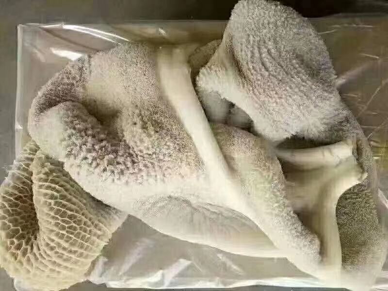 牛肚每天都有新货天天都做欢迎各位老板选购