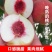 内黄县有大量迎霜红雪桃