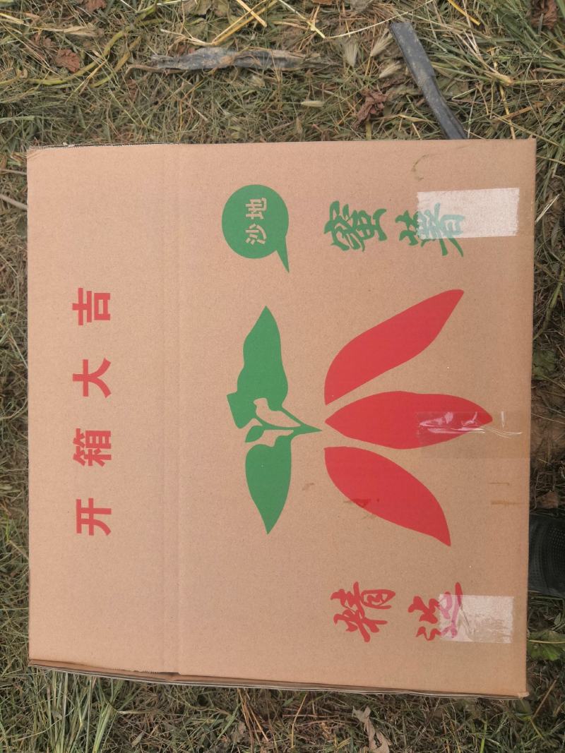 水果纸箱厂家直销5斤苹果箱子10斤20斤30斤快递纸箱