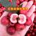 【实力】甜红子山楂水果山楂鲜果40斤一件批发糖雪球专用