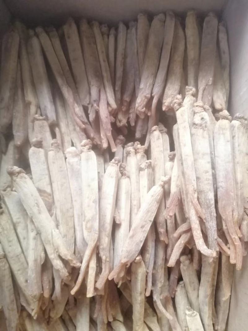 【自家种植】长白山高丽参，黄马褂，保质保量，价格实惠包邮