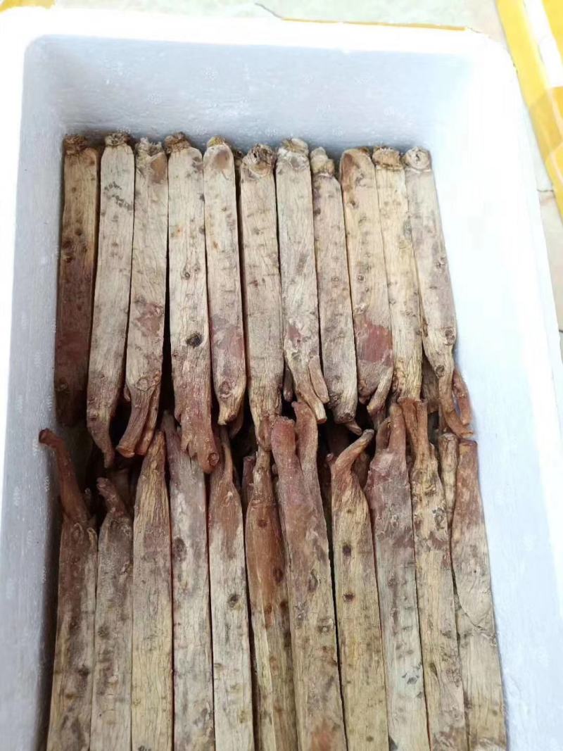 【自家种植】长白山高丽参，黄马褂，保质保量，价格实惠包邮