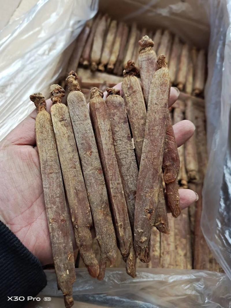 【自家种植】长白山高丽参，黄马褂，保质保量，价格实惠包邮