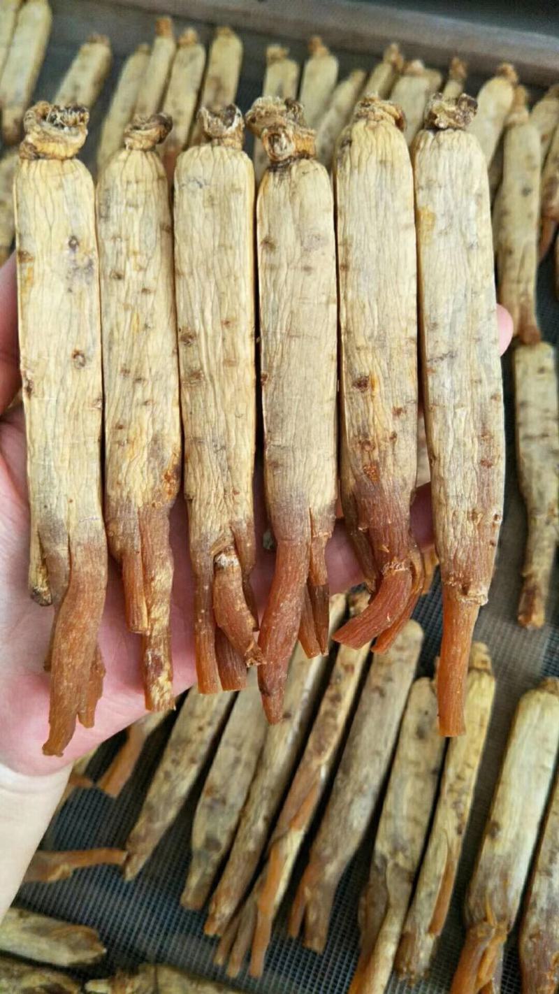 【自家种植】长白山高丽参，黄马褂，保质保量，价格实惠包邮