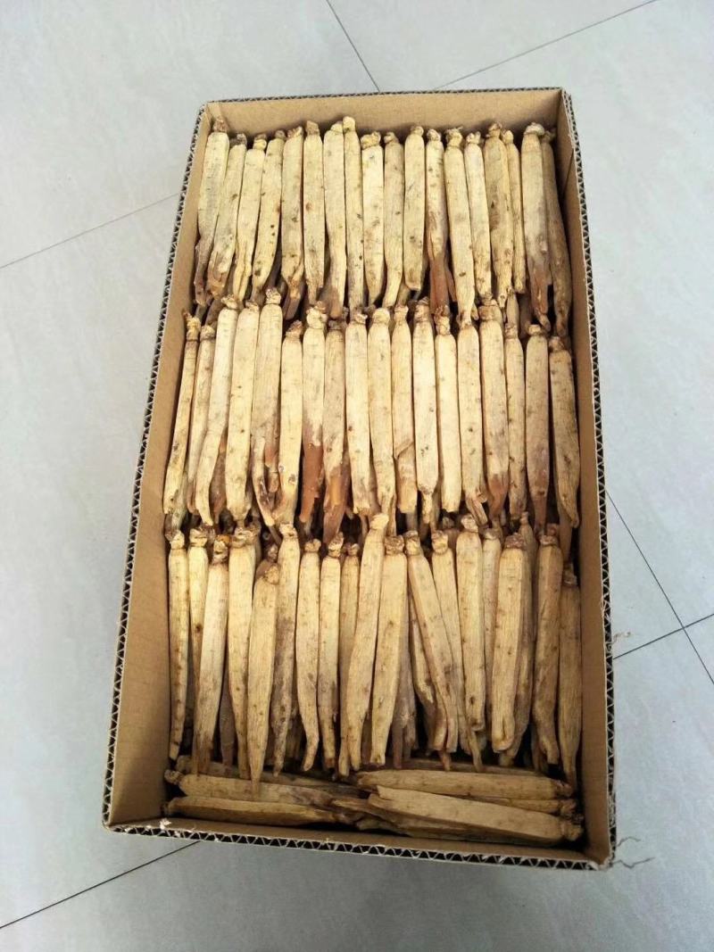 【自家种植】长白山高丽参，黄马褂，保质保量，价格实惠包邮