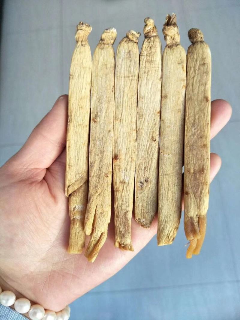 【自家种植】长白山高丽参，黄马褂，保质保量，价格实惠包邮