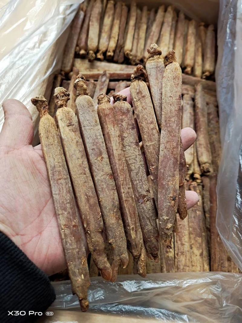 【自家种植】长白山高丽参，黄马褂，保质保量，价格实惠包邮