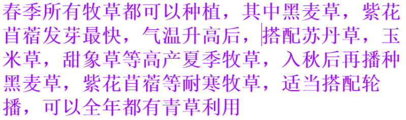 多年生黑麦草种子耐寒养牛羊马鸡鹅鱼四季草籽牧草养殖黑麦草