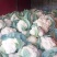 菜花2斤到3斤紧密乳白货源充足需要的联系