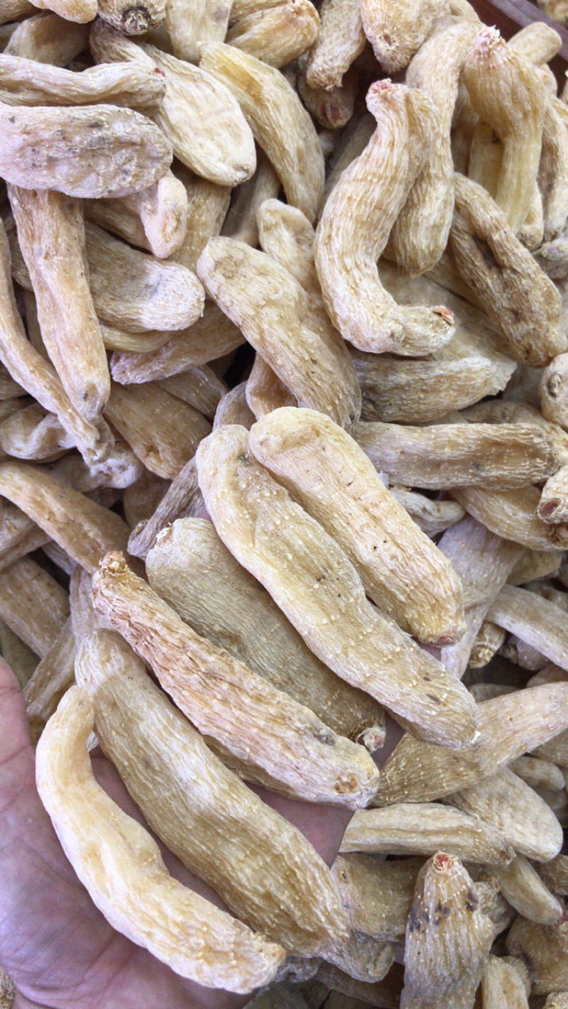 云南正宗昭通丽江野生天麻500g可切片磨粉