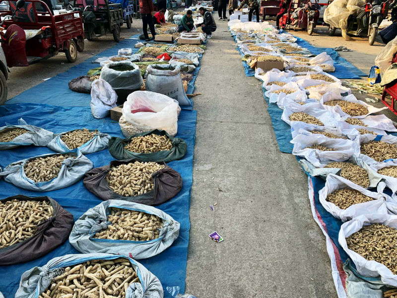 【自家种植】吉林长白山西洋参片，参味浓，质量好，价格低