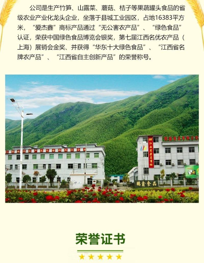 新鲜笋丁5斤装/袋春笋切丁清水笋丁笋片