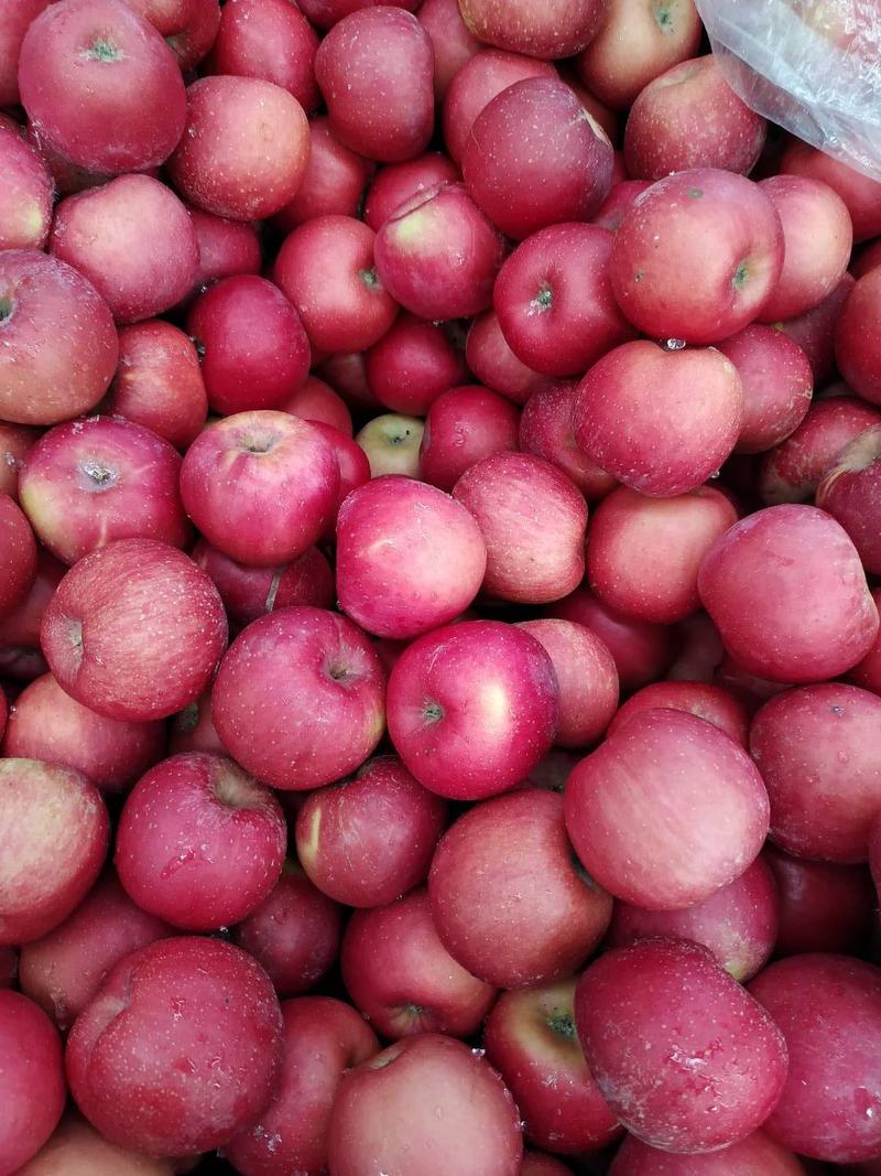 苹果红富士苹果大量批发山东苹果产地一手货源