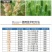 国光必鲜咪鲜胺柑橘保鲜枯萎病绿霉病芒果炭疽病稻曲病杀菌剂