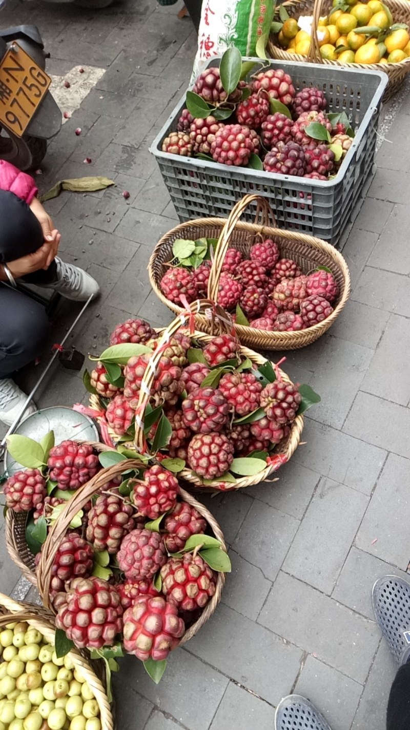 地理标志黑老虎果批发