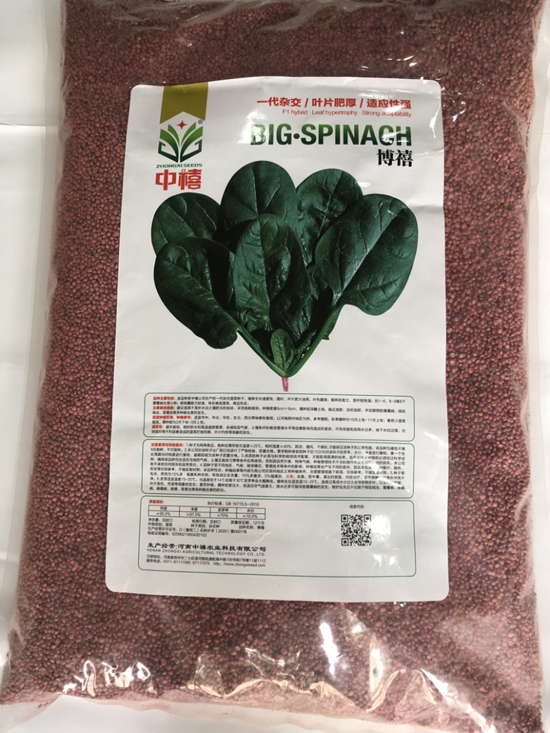 进口大圆叶菠菜种子禧雅丽博禧高抗病毒病软腐病品质好