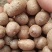 山药豆大量出售价格便宜
