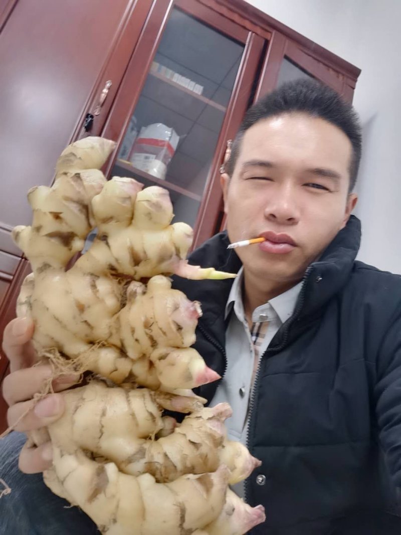 大福姜，二黄姜，出土时间在即，需要订单联系