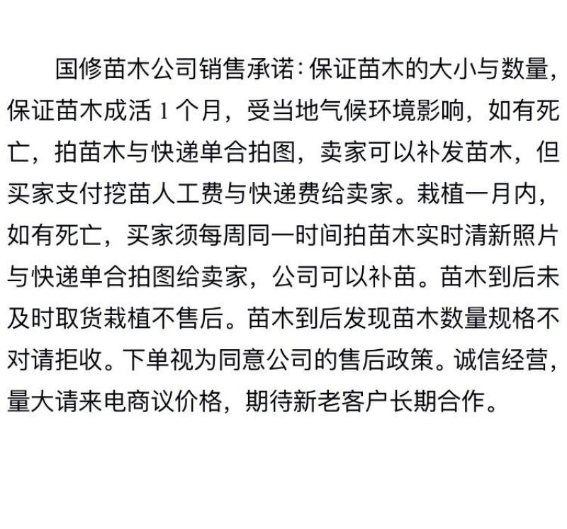 春见柑桔苗/耙耙柑苗/2年苗基地批零售/量大价优免费技术
