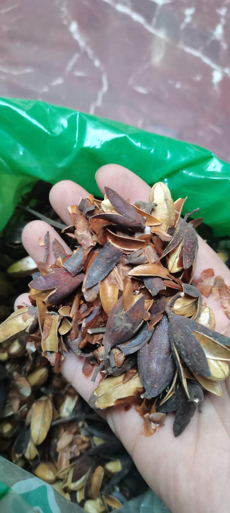 香椿子香铃子香椿籽香椿铃椿树子各种中药材