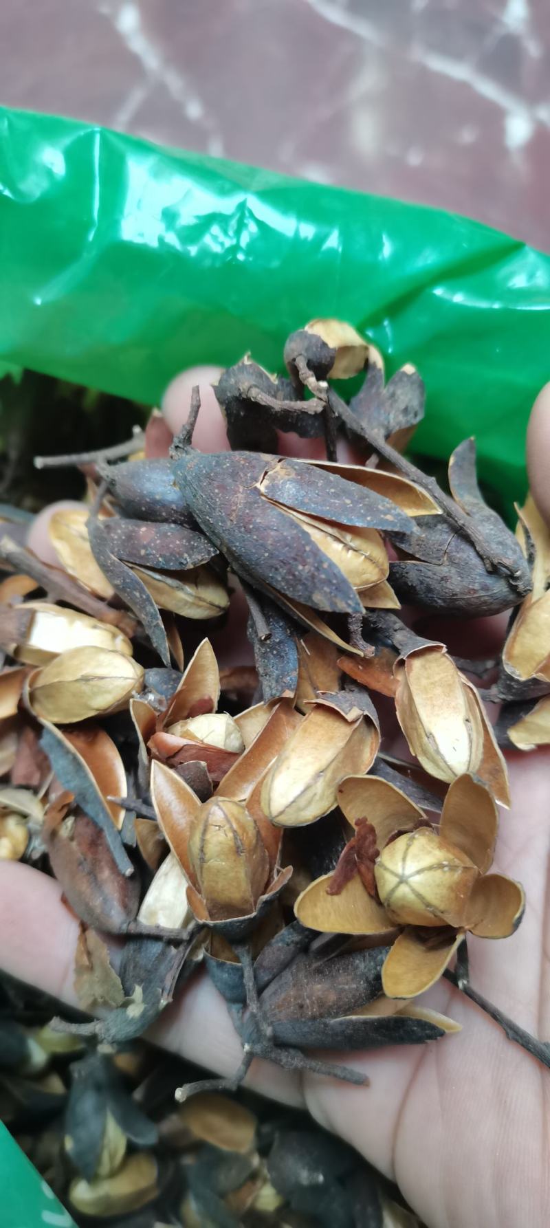 香椿子香铃子香椿籽香椿铃椿树子各种中药材