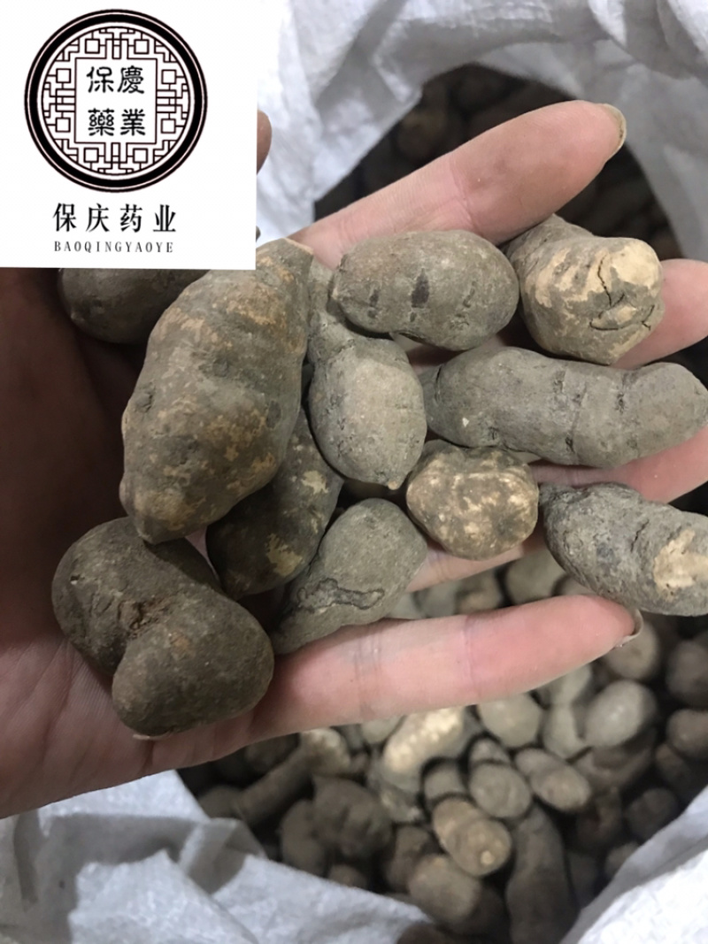 三叶青金线吊葫芦实物拍摄三叶青干货白茬芯三叶青